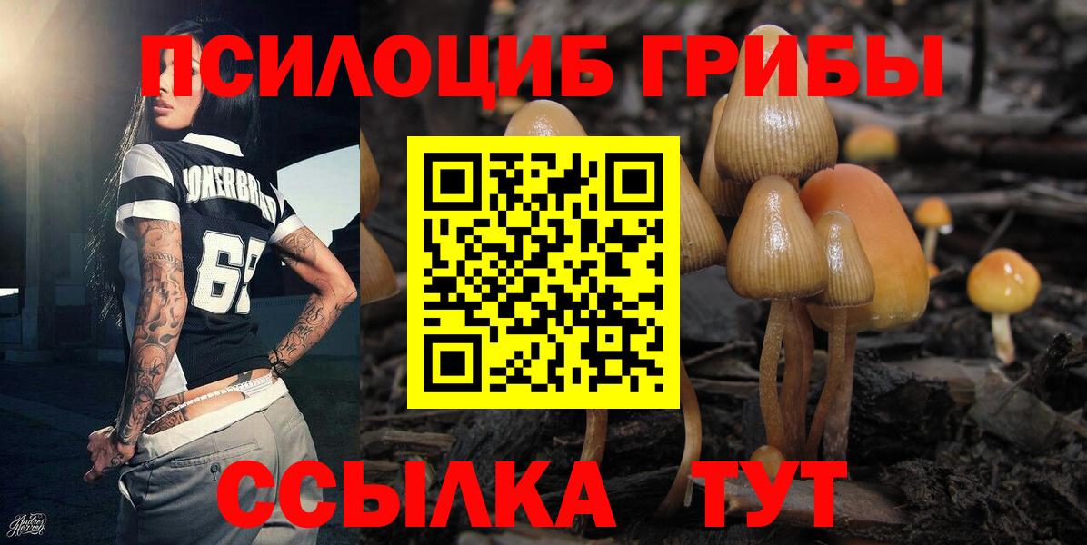 Галлюциногенные грибы ЛСД  Галлюциногенные грибы ЛСД  Майский  Вход с VPN 